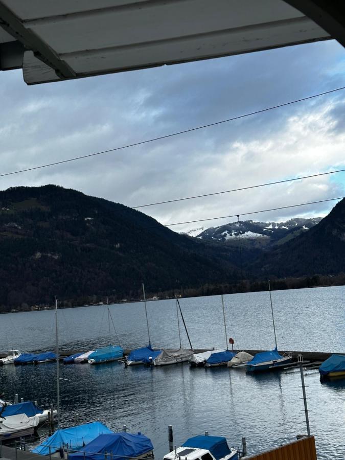 Swiss Lake Mountains Apartments Därligen Eksteriør billede